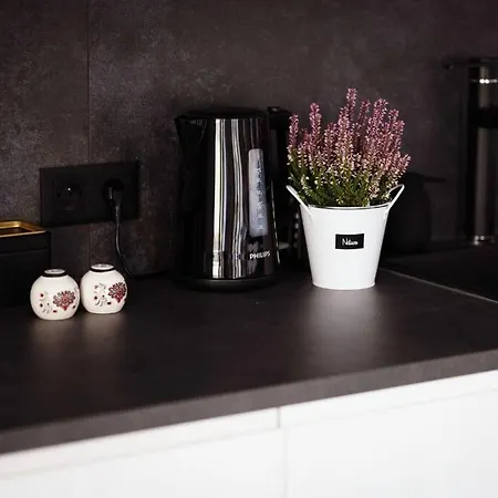 Cracow Grzegorzki Park Apartment